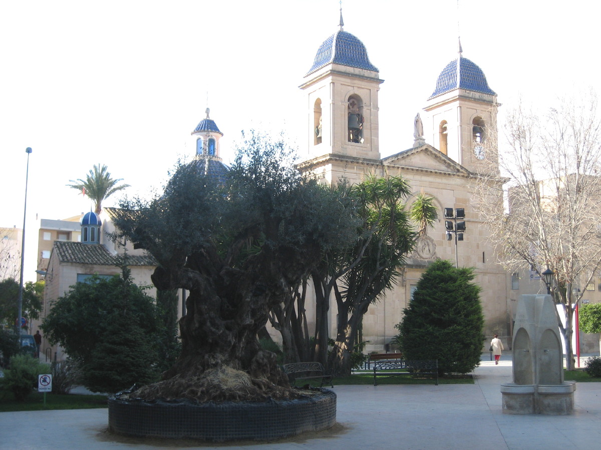 El Festival de Sant Joan d'Alacant prepara selecció i últimes convocatòries per a la seua 24ª edició