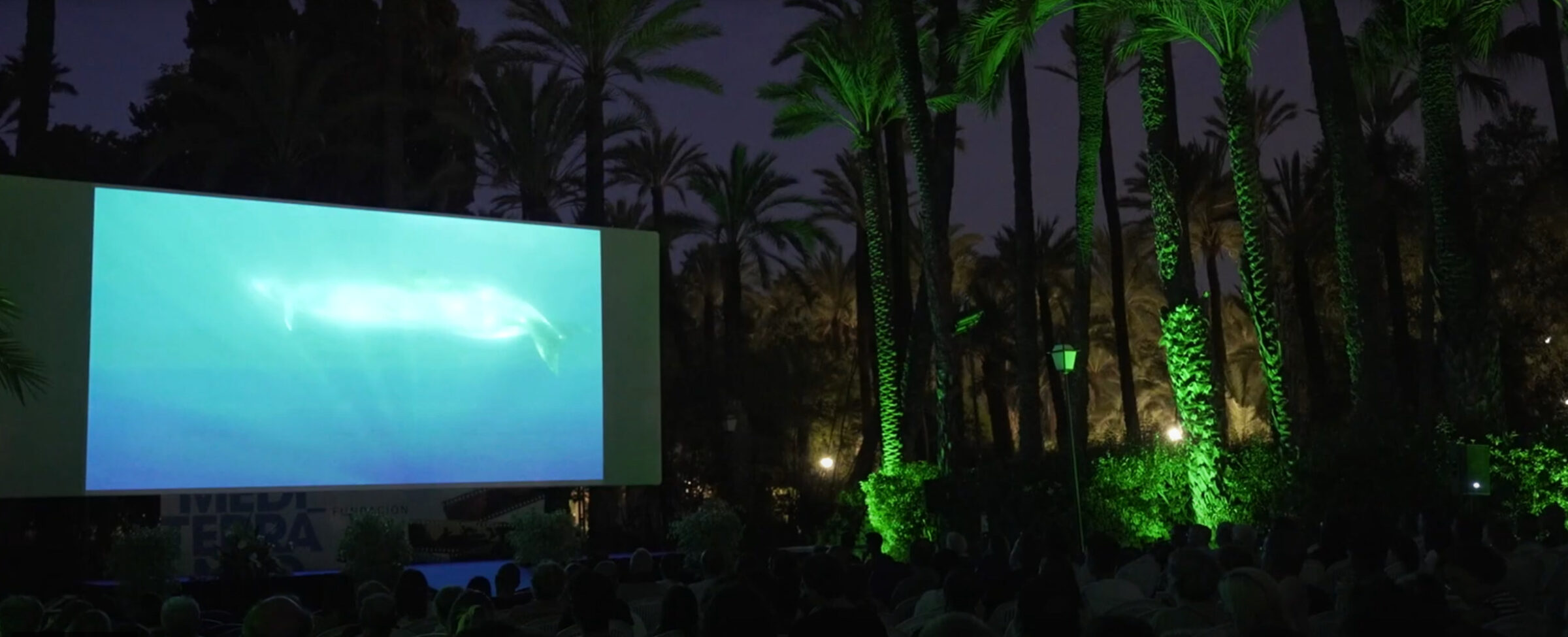  El Cinema d’Elx comença la seua 48a edició amb un programa ple de projeccions i activitats